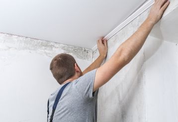 Professional mold removal experts in Beverly Hills using advanced equipment and eco-friendly techniques to eliminate mold from a residential space.