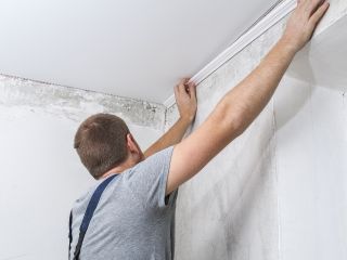 Professional mold removal experts in Beverly Hills using advanced equipment and eco-friendly techniques to eliminate mold from a residential space.