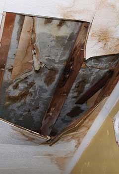 Water Damage Repairs, Beverly Hills